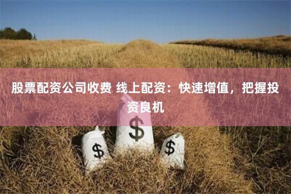 股票配资公司收费 线上配资：快速增值，把握投资良机