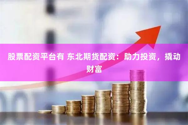股票配资平台有 东北期货配资：助力投资，撬动财富
